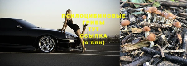 каннабис Иноземцево