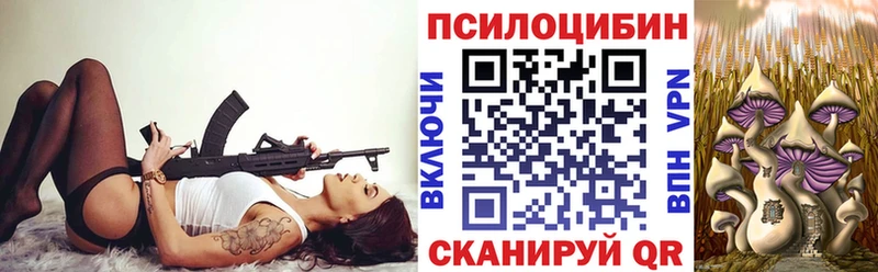 Купить Рыльск Галлюциногенные грибы мицелий